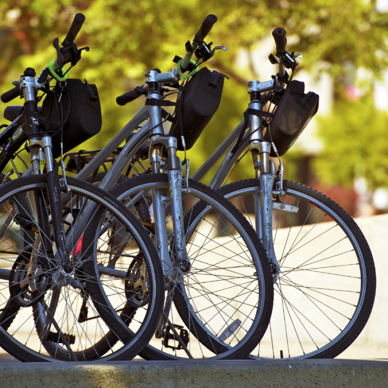 BICI.IT DI D'ADDARIO ANDREA - LANDING (1)